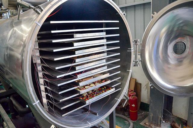 Sấy thăng hoa có nhiều ưu điểm