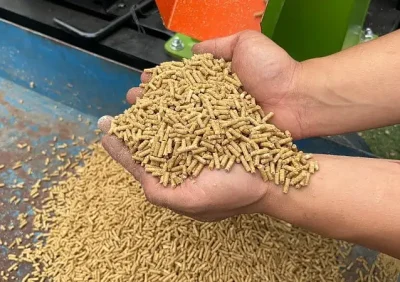 Cách giảm độ ẩm cám chim sau ép viên mà vẫn giữ chất lượng